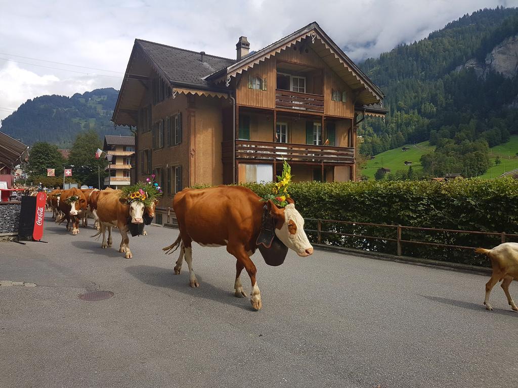 Angie'S Apartments Lauterbrunnen Exterior photo