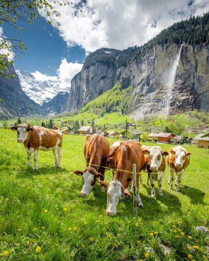 Angie'S Apartments Lauterbrunnen Exterior photo